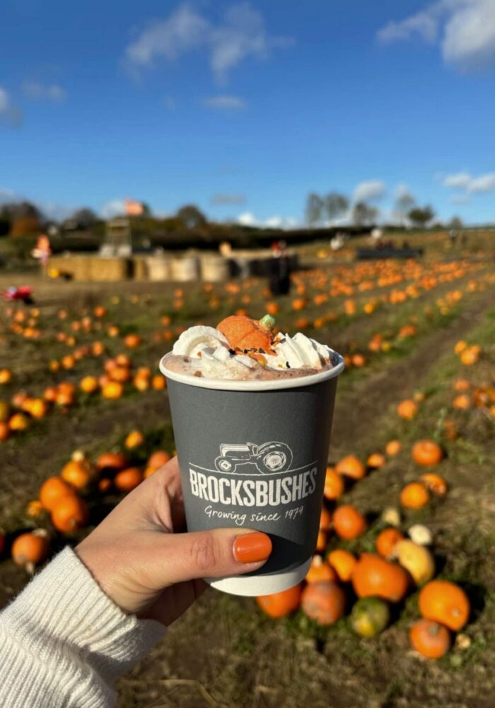 Team High Life North's autumn bucket list for the North East