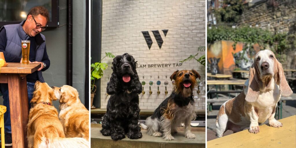 30 of the best dog-friendly pubs, cafés and restaurants in the North East