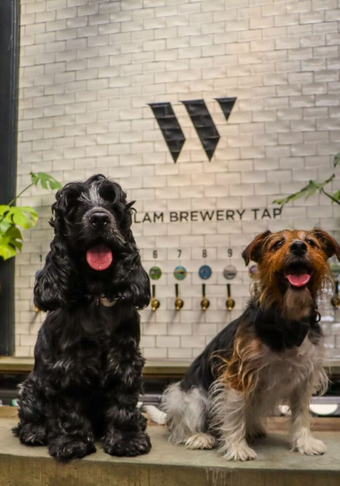 30 of the best dog-friendly pubs, cafés and restaurants in the North East