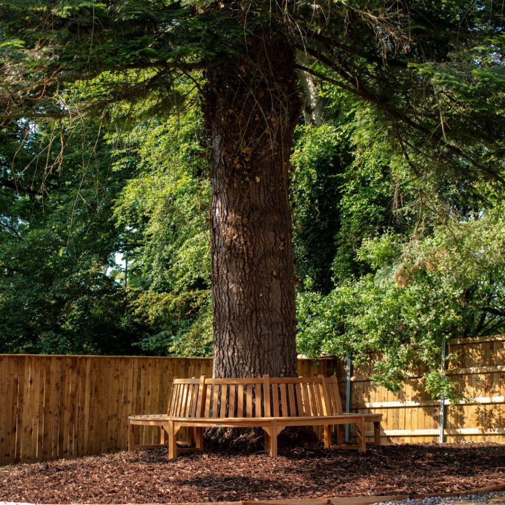 Havelock Park, Darlington