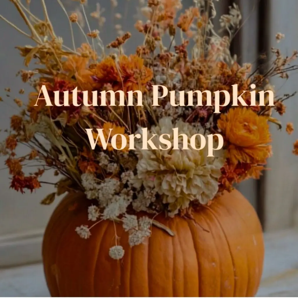 Autumn Pumpkin Workshop – Sunderland