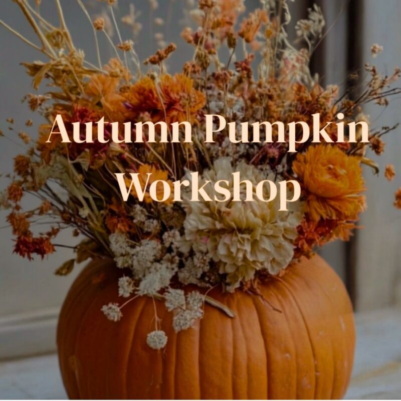 Autumn Pumpkin Workshop – Sunderland