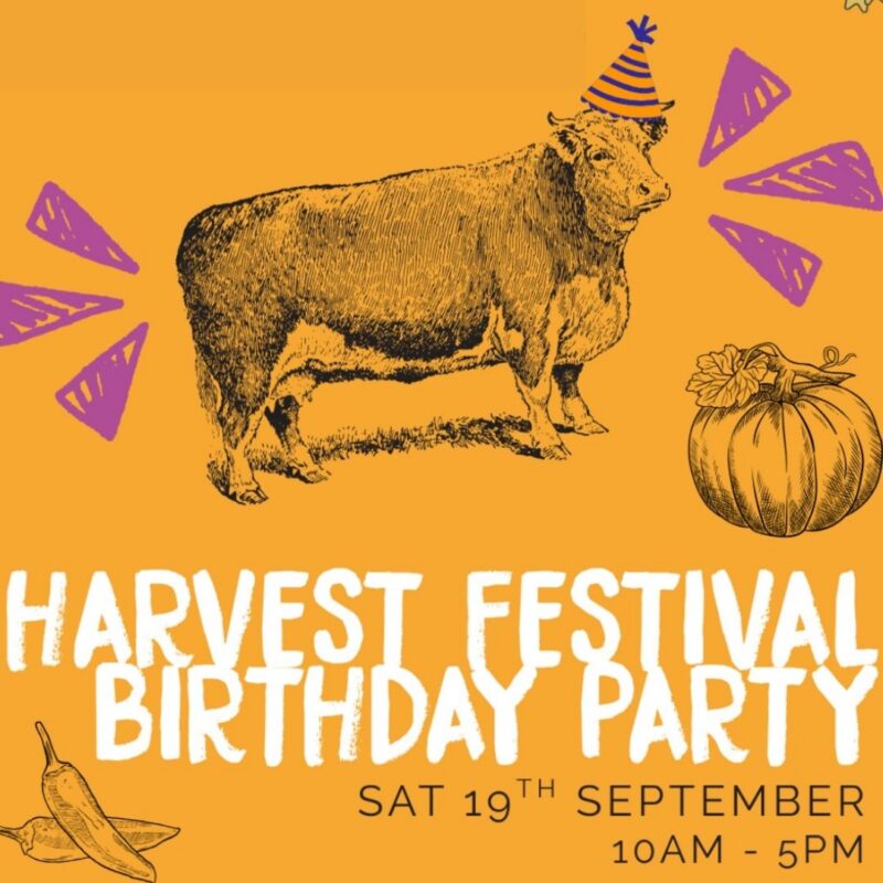 Harvest Festival Birthday Party – Newcastle