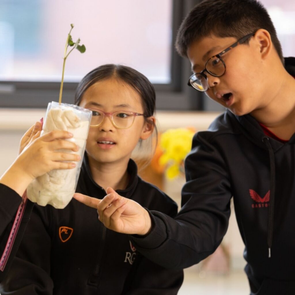 Royal Grammar School (RGS) - Insights Evening