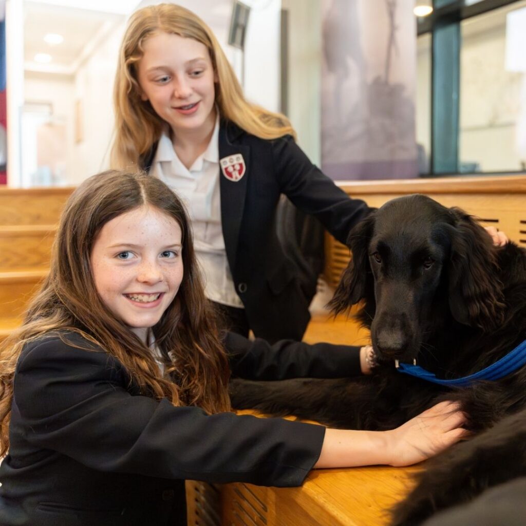 Royal Grammar School (RGS) - Insights Evening