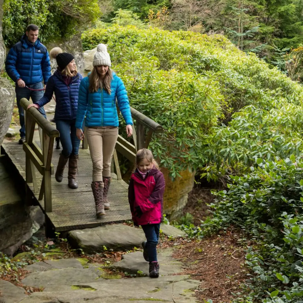 Christmas at Cragside, Festive Hike - National Trust