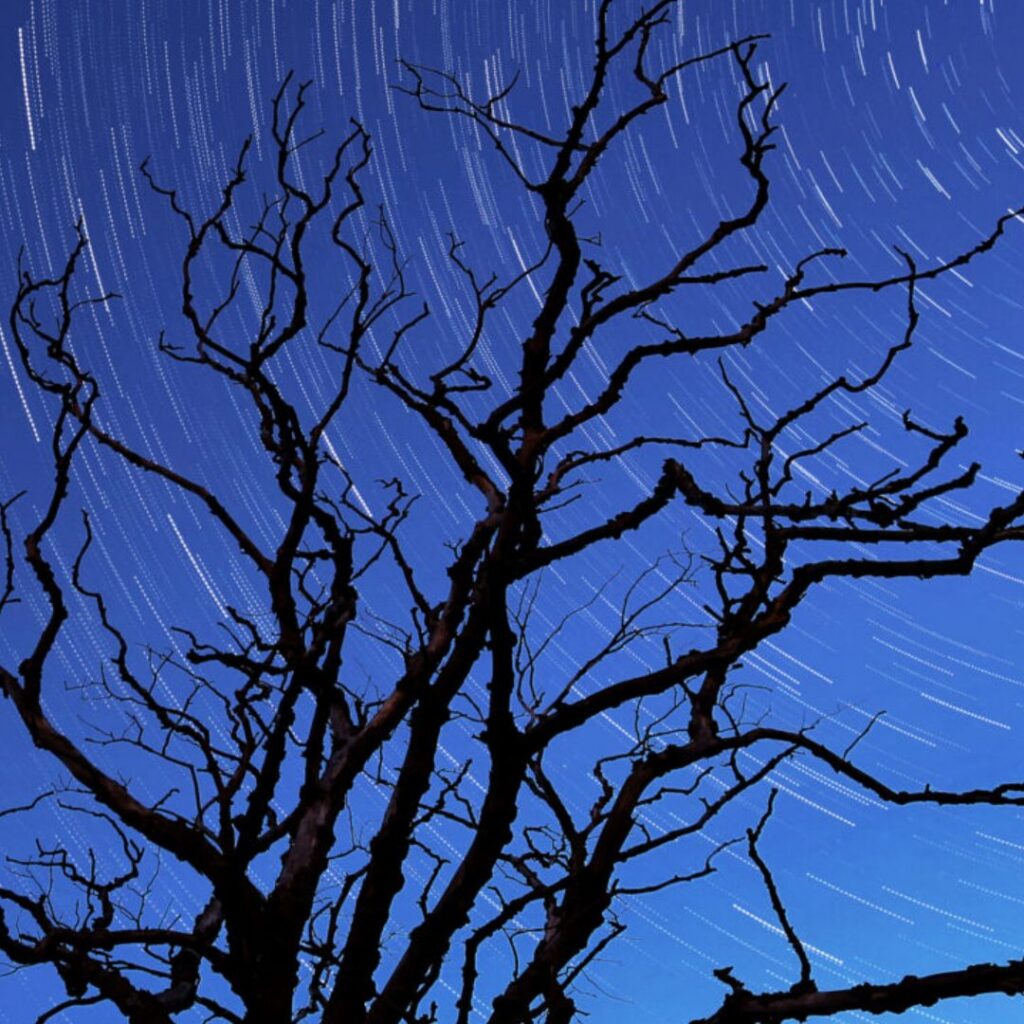 North Pennines Stargazing Festival – County Durham