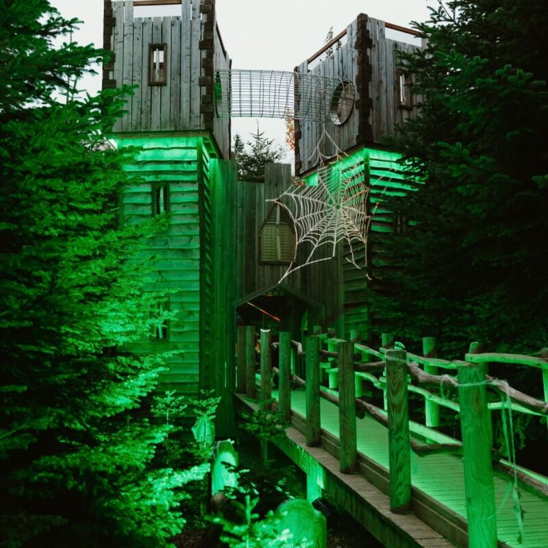 Halloween After Dark in The Plotters' Forest – County Durham