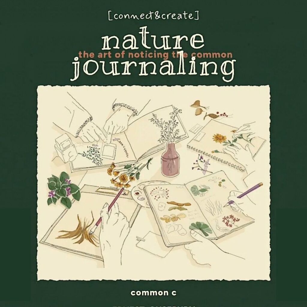 Nature Journaling Workshop – Newcastle