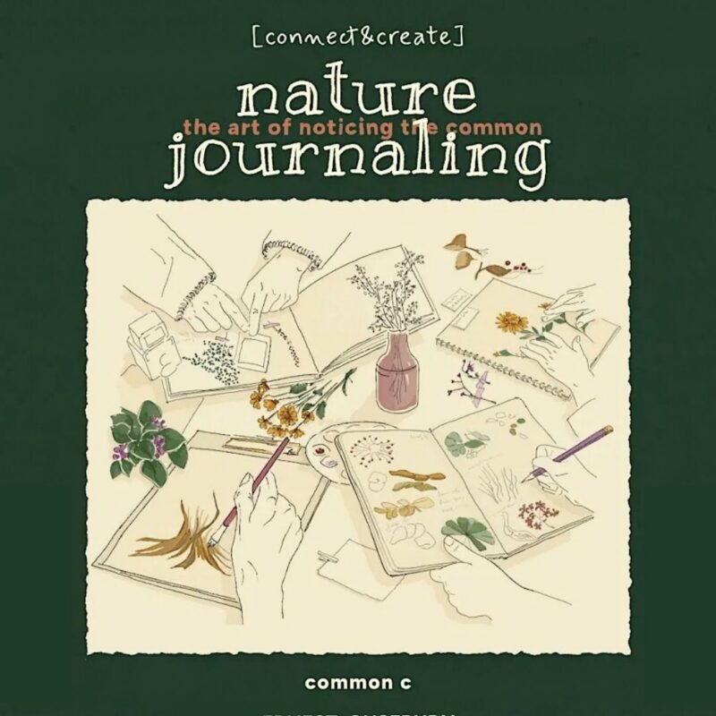 Nature Journaling Workshop – Newcastle