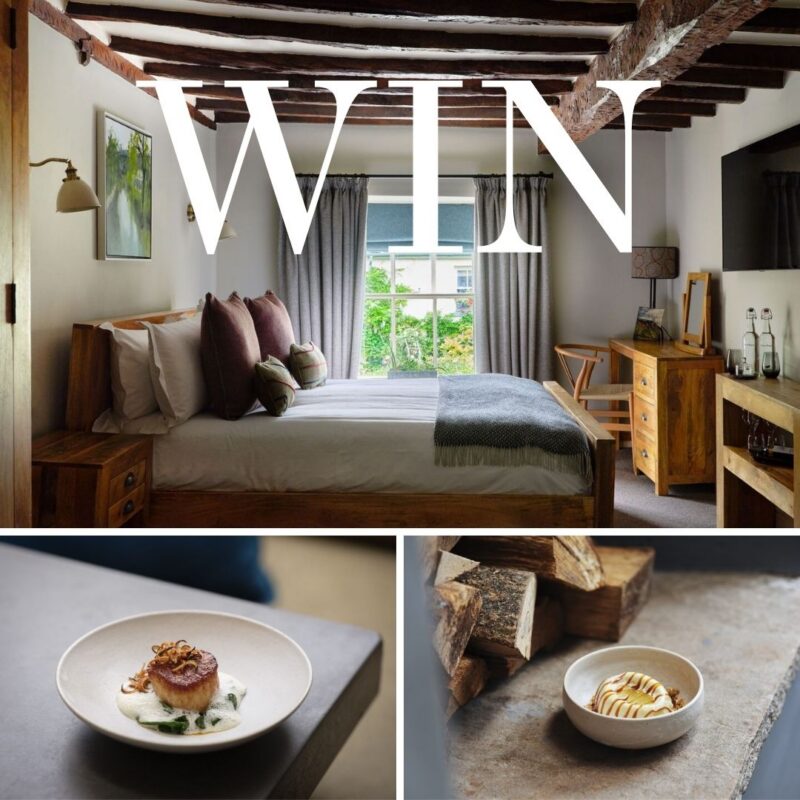 Rogan & Co High Life North Competition