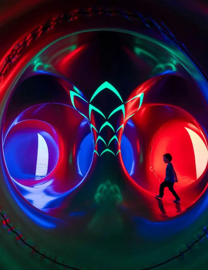 Luminarium Arborialis - Woodhorn Museum