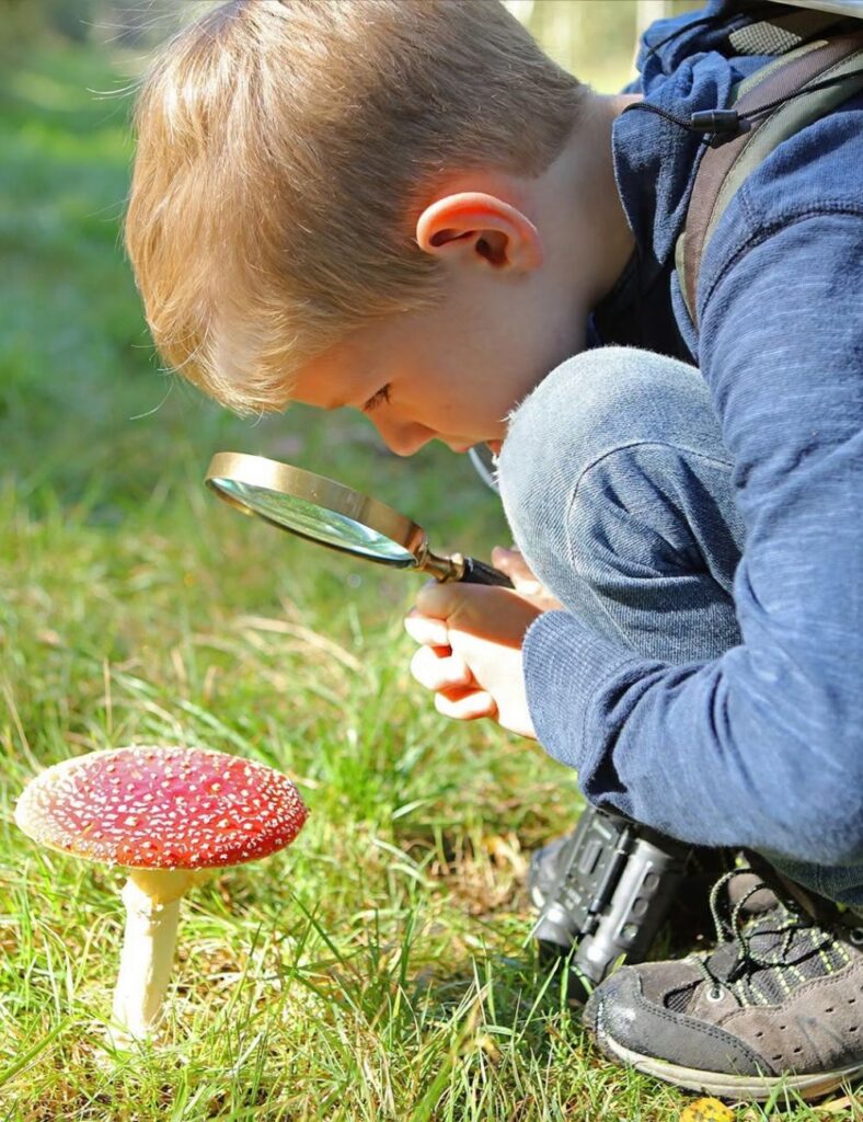 Washington Wetland Centre - Fairy Gathering