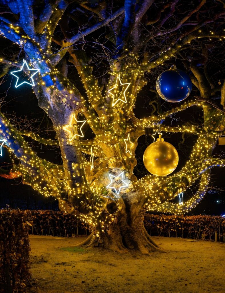 WINTER LIGHTS AT THE ALNWICK GARDEN AND LILIDOREI