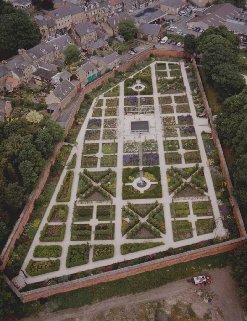 The Alniwck Garden - Duchess