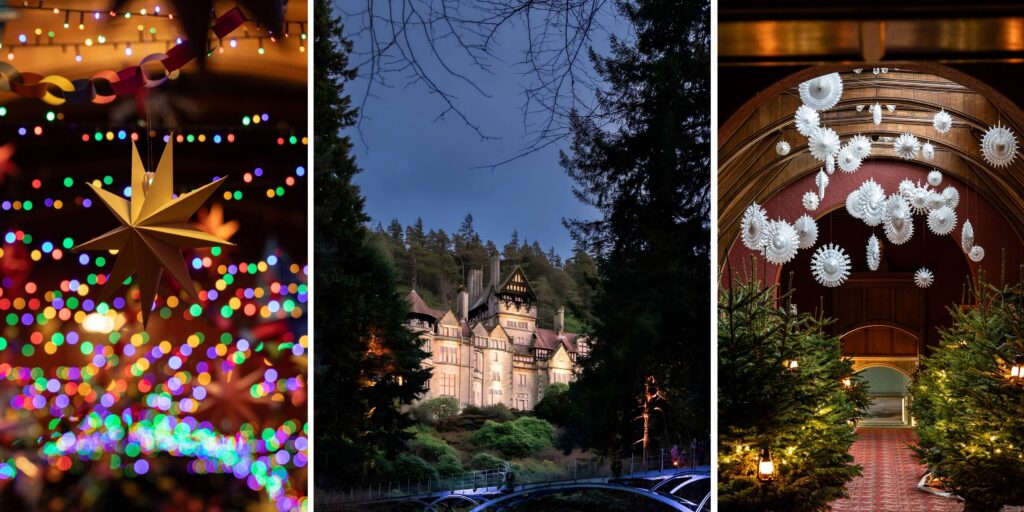 Cragside reveals its Christmas plans: fairy tale adventures, the world’s biggest living Christmas tree, plus festive walks and trails