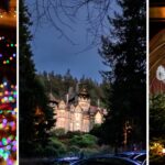 Cragside reveals its Christmas plans: fairy tale adventures, the world’s biggest living Christmas tree, plus festive walks and trails