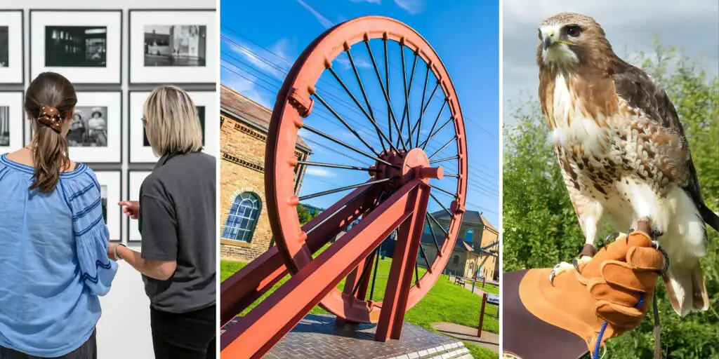Woodhorn Museum turns 20 and it's your things to do in Northumberland sorted