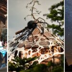 Top 17 things to do in Northumberland this autumn and winter