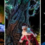 Alnwick Garden’s Winter Light Trail is back with a full festive calendar lined up