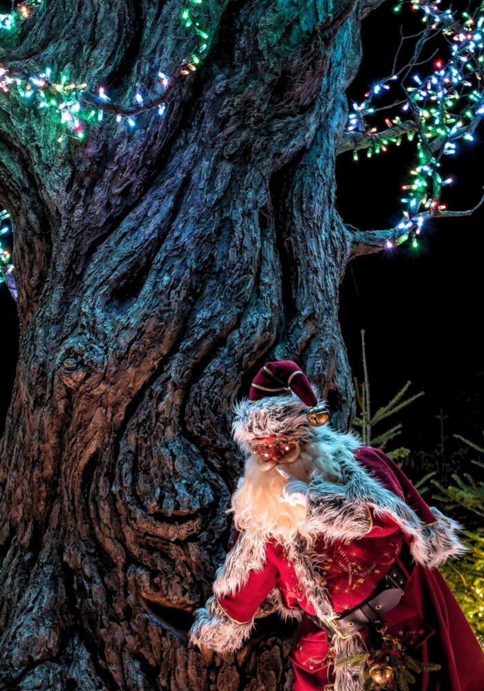 Alnwick Garden’s Winter Light Trail is back with a full festive calendar lined up