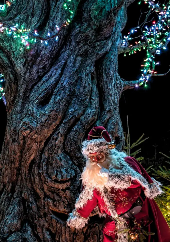 Alnwick Garden’s Winter Light Trail is back with a full festive calendar lined up
