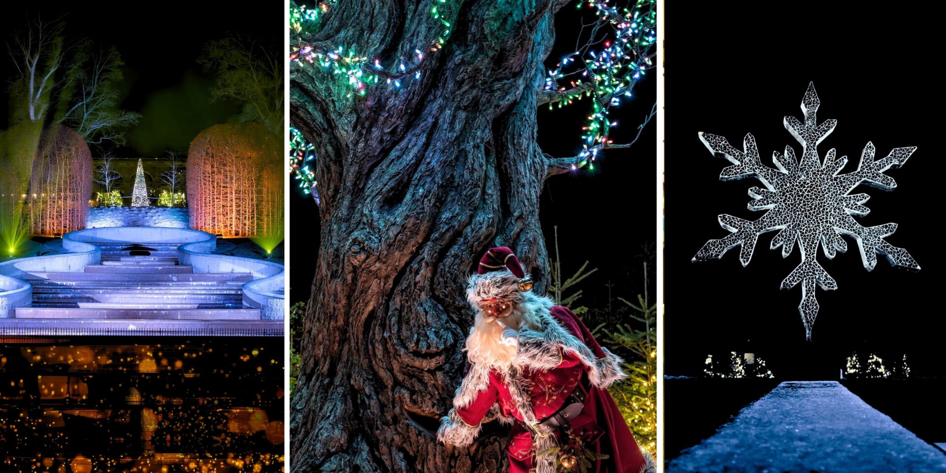 Out Gate Ticket Example The Alnwick Garden’s Winter Light Trail returns with festive fun
