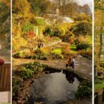 Our favourite autumn Northumberland walks: why Wallington's a must this season