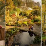 Our favourite autumn Northumberland walks: why Wallington's a must this season