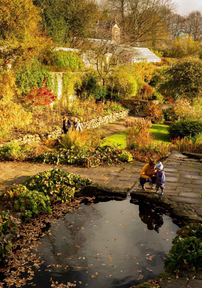 Our favourite autumn Northumberland walks: why Wallington's a must this season