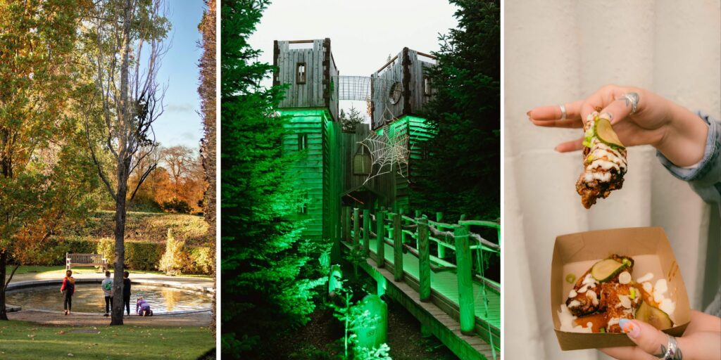 15 family-friendly things to do in the North East this half term
