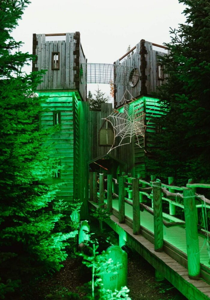 15 family-friendly things to do in the North East this half term
