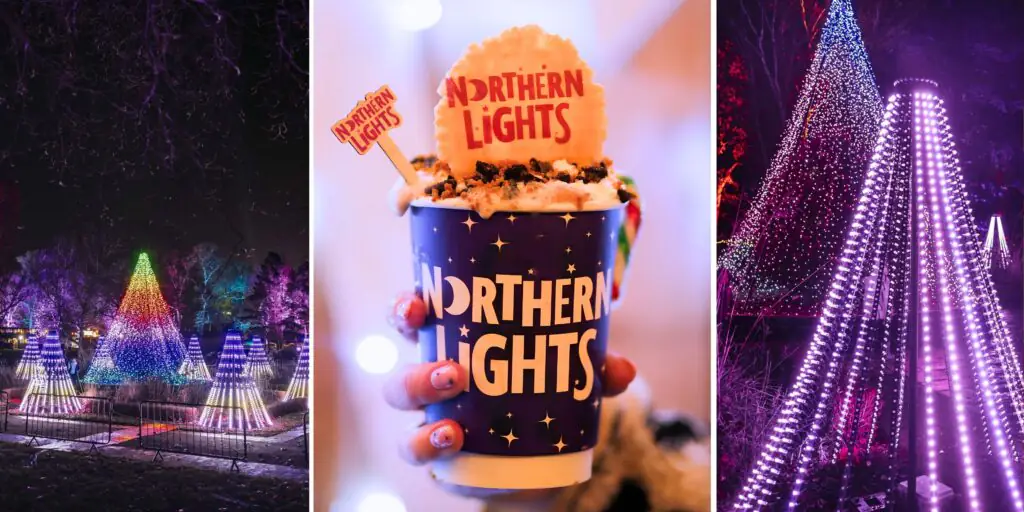 Northern Lights Newcastle 2026: here’s what’s lighting up Leazes Park