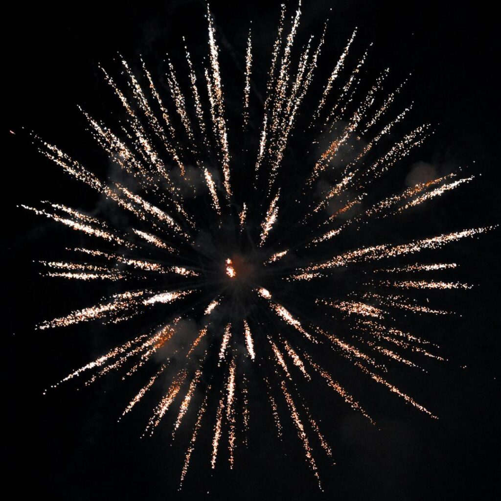 ALNWICK COMMUNITY FIREWORKS