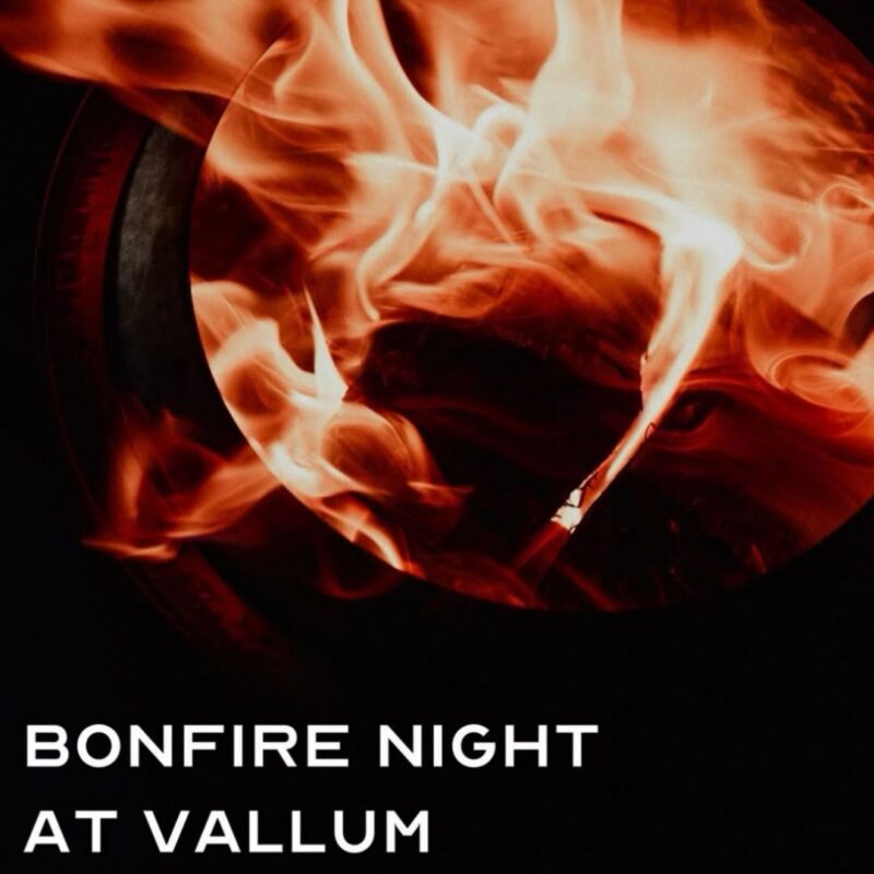 Bonfire Night at Vallum Farm - Newcastle