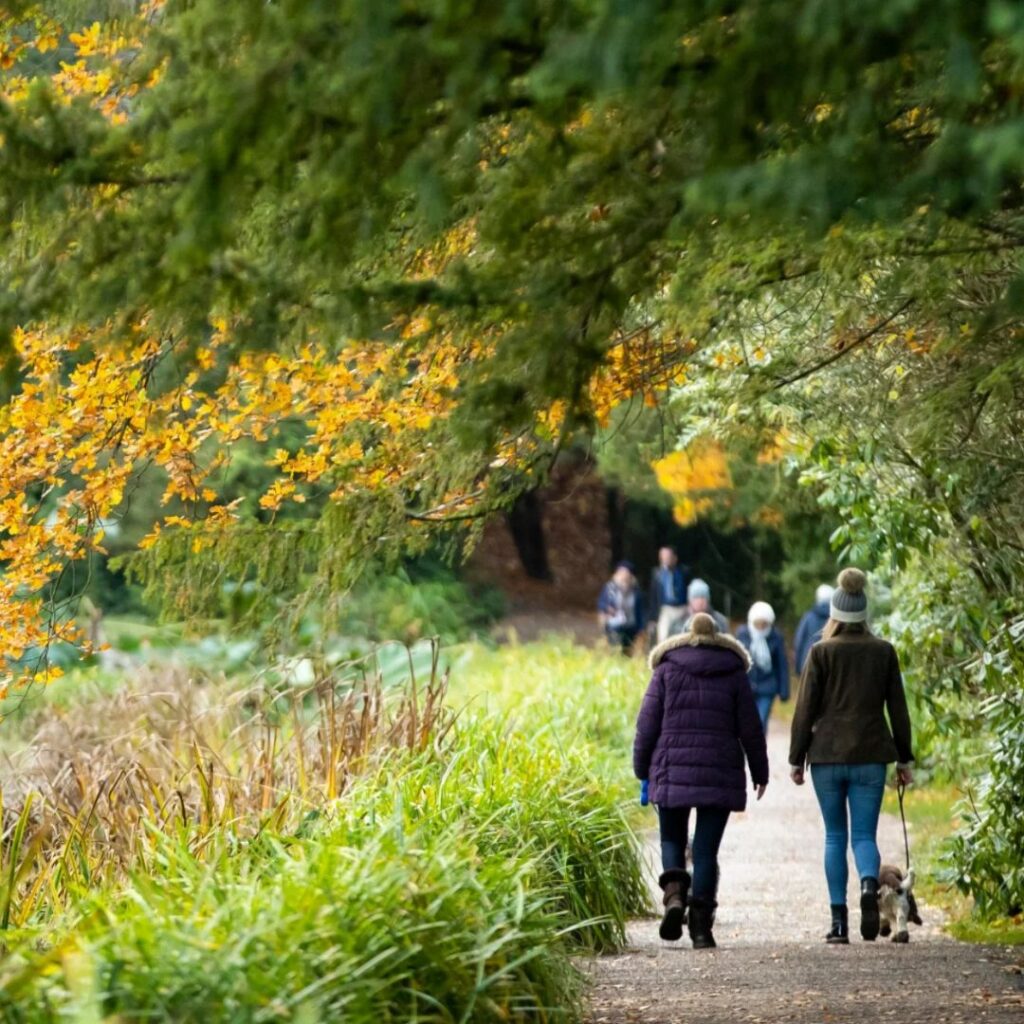 Wallington - Autumn