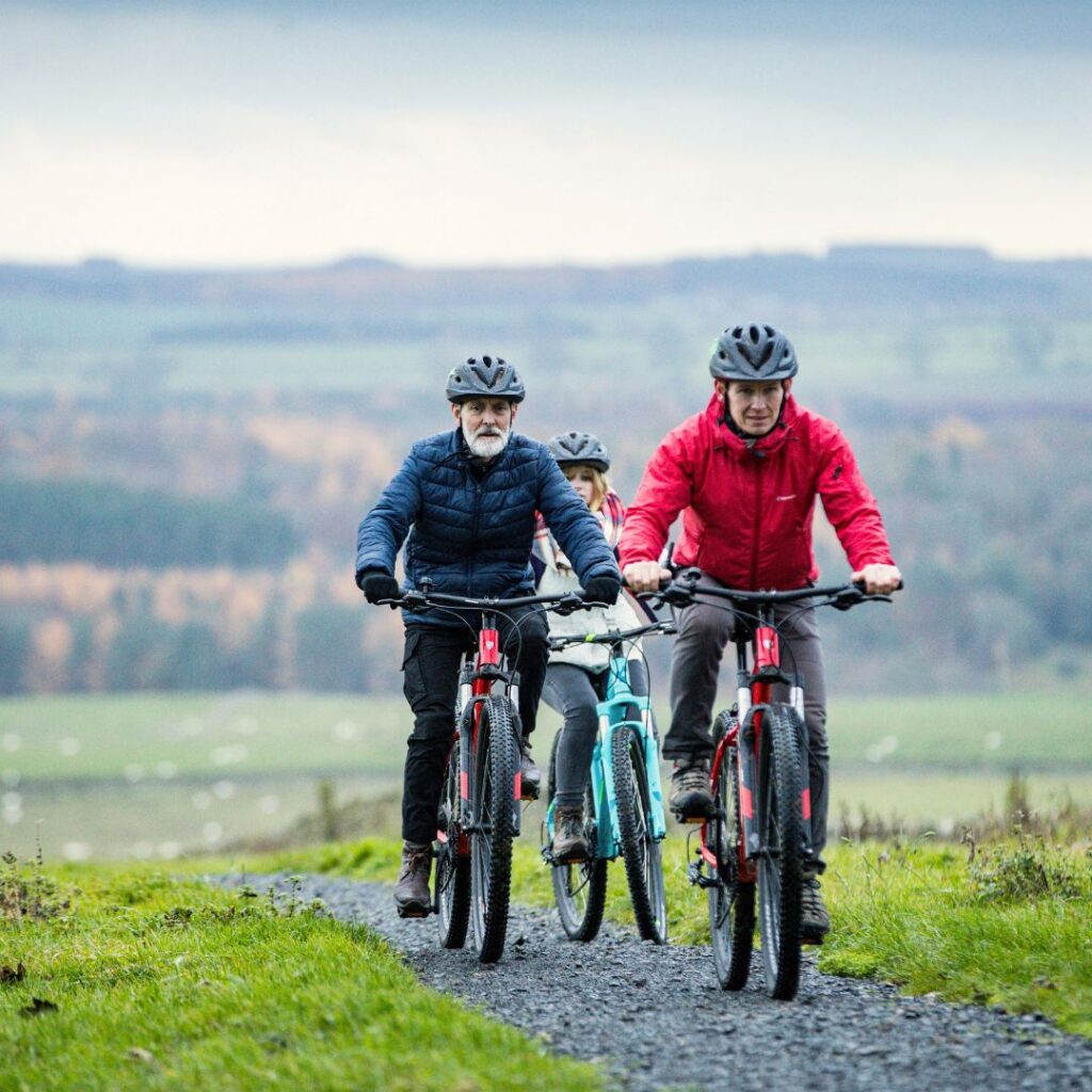 Wallington - Rent a Bike and Cylcle this Autumn