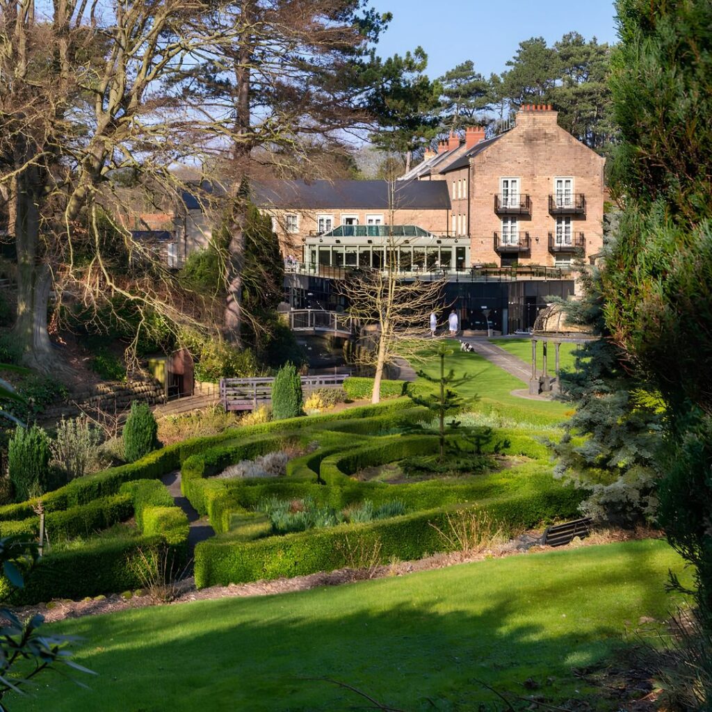 Saltmoore Grounds