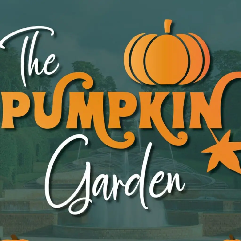 The Pumpkin Garden - Northumberland