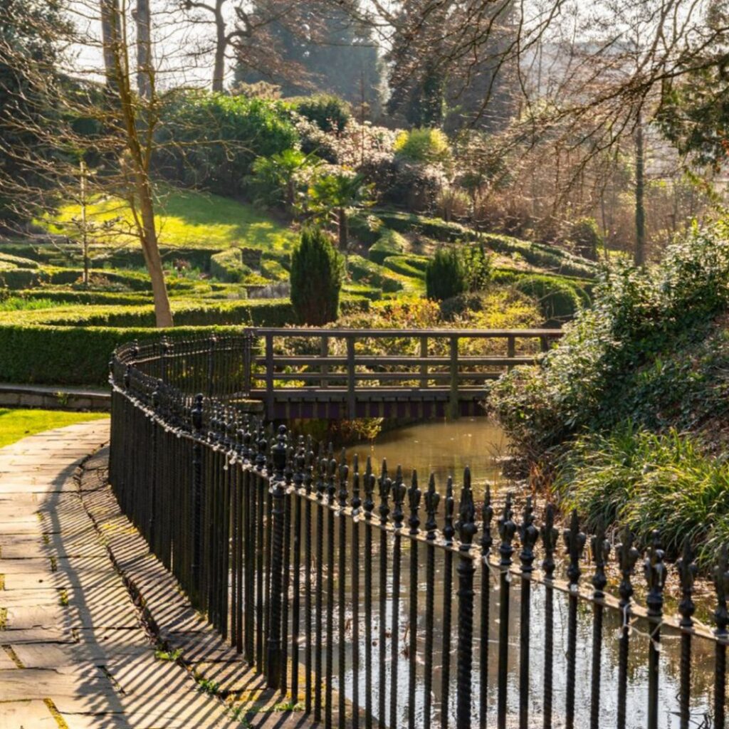 Saltmoore Grounds