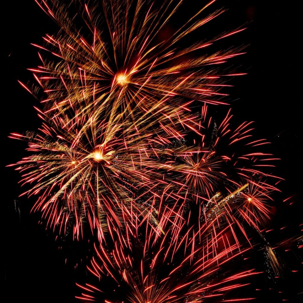 Newcastle Racecourse Firework Racenight – High Gosforth Park